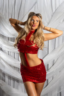 Red sequin Darcy dress